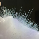 カビの除去は、カビを退治しなければだめ