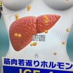 筋肉を若返らせるために必要な事